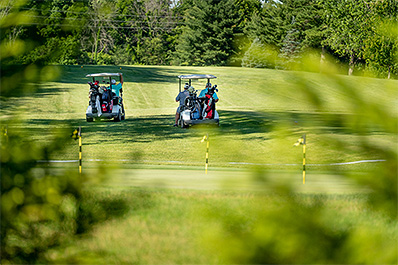 Looking through blurred tree branches at golf course with golf carts in the distance
